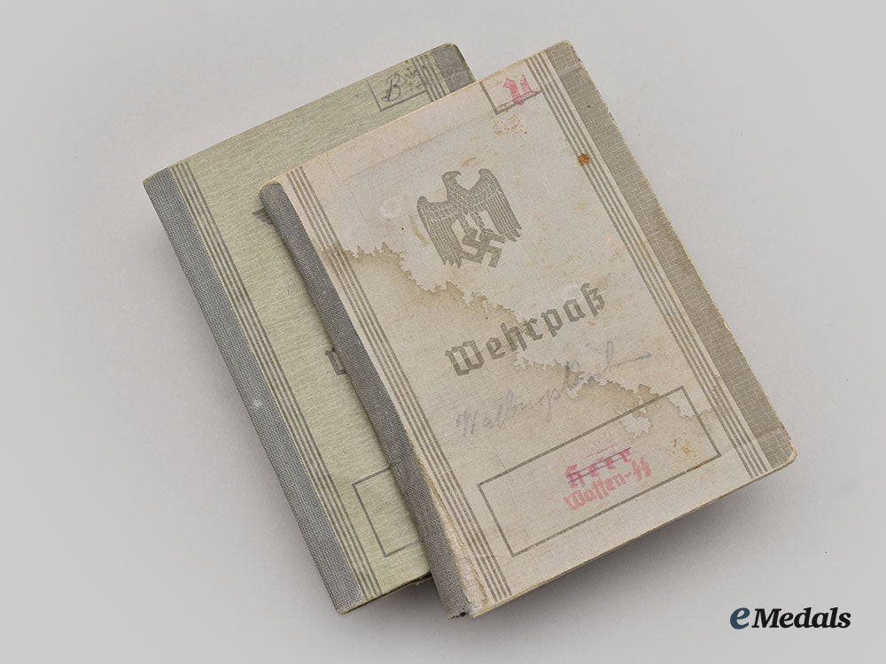 germany,_wehrmacht._a_pair_of_wehrpäße_l22_mnc7152_645