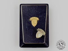 Bosnia And Herzegovina. A Memorial Badge Of The Patriotic League Of Bih, 1991-97
