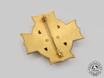 austria,_empire._a_war_cross_for_civil_merit,_iv_class,_c.1915_l22_mnc8420_313