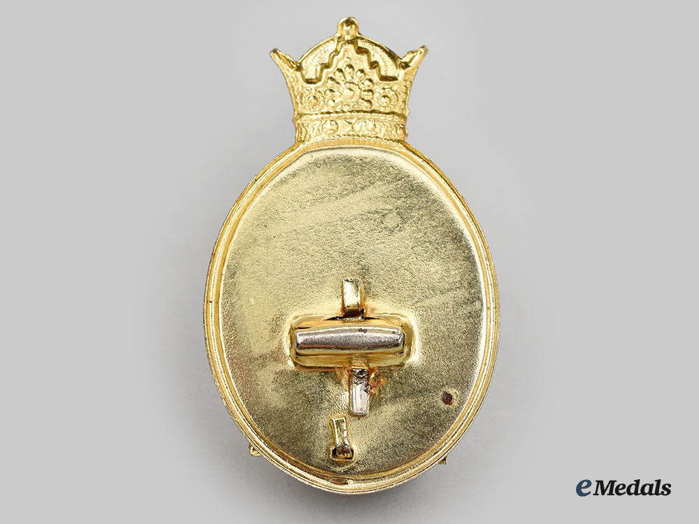 iran,_pahlavi_dynasty._an_imperial_iranian_military_police_junior_officer's_cap_badge_l22_mnc9455_669