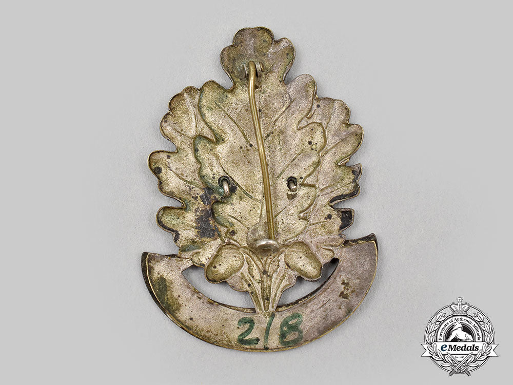 austro-_hungarian._a_first_war_kuk_infantry_regiment_badge_l22_mnc9824_829_1