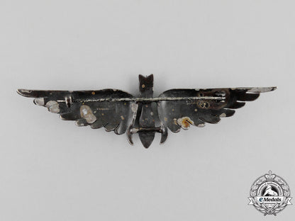 a_rare_first_war_united_states_air_service_bombardier_wing_l_165_1