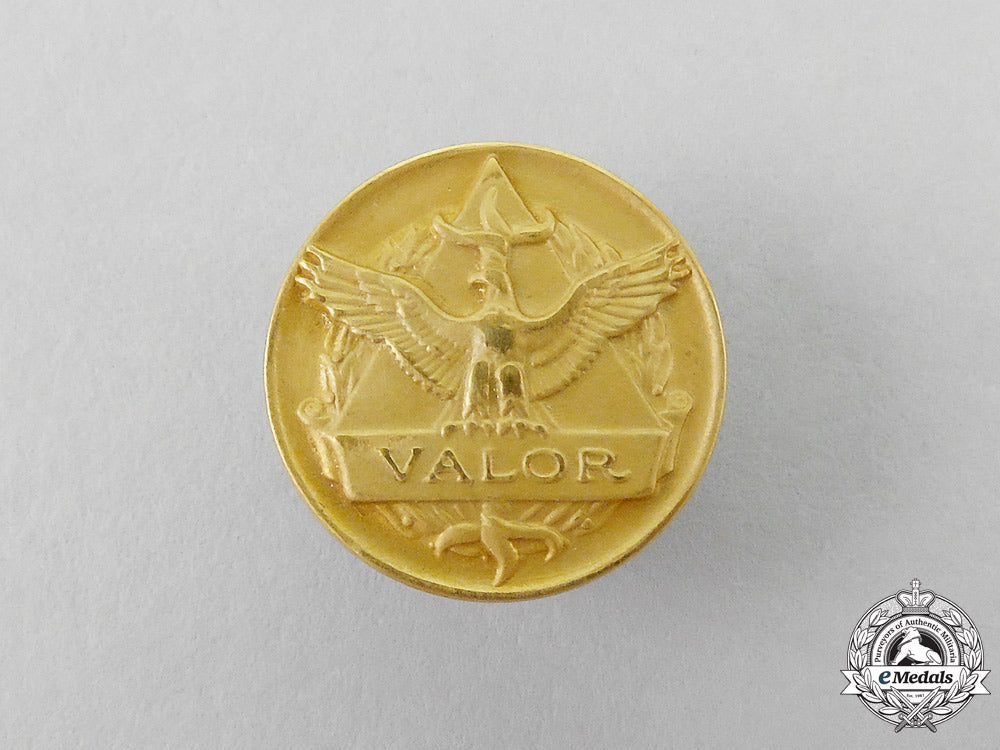 a_united_states_air_force_civilian_award_for_valor_medal_with_boutonniere_l_467_1