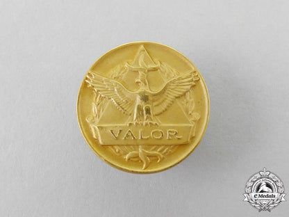 a_united_states_air_force_civilian_award_for_valor_medal_with_boutonniere_l_467_1