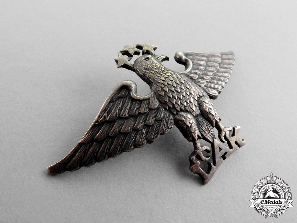 latvia._a_scarce"_latvian_aero_klub"_member's_badge,_c.1937_m17-1102_1_1