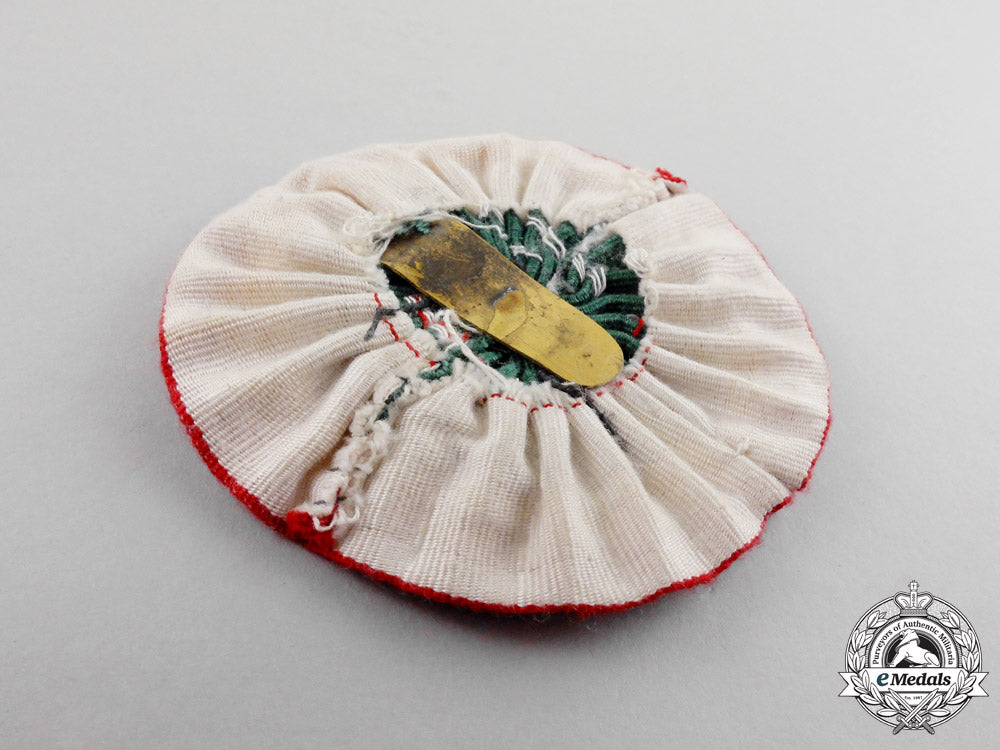 italy,_kingdom._a_pith_helmet_badge_m17-1135