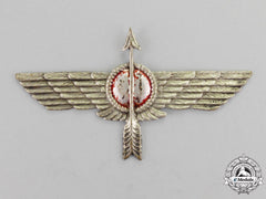 Spain, Republic. A Civil War Air Force Anti-Aircraft Badge
