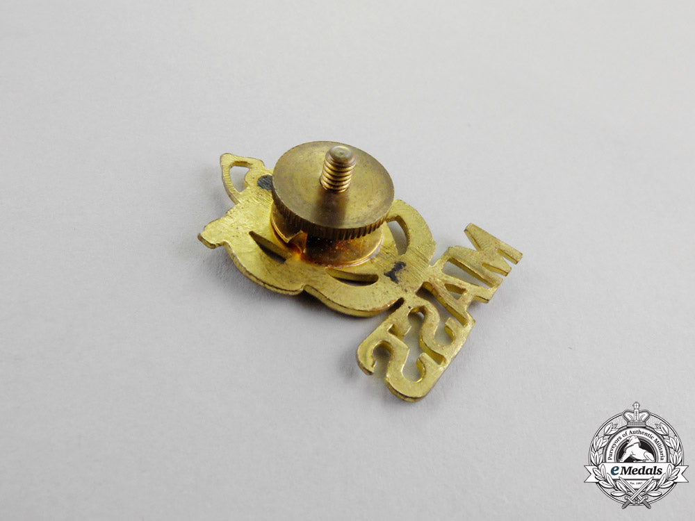 united_states._thirty_united_states_army_and_guard_badges_m17-469