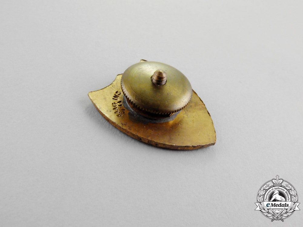 united_states._thirty_united_states_army_and_guard_badges_m17-470