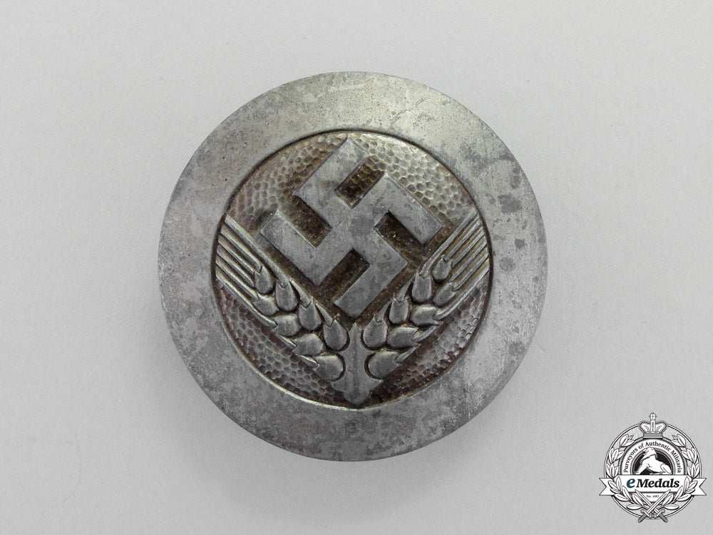 germany._a_radwj(_reich_labour_service_of_female_youths)“_arbeitsmaid”_rank_badge_m17-579