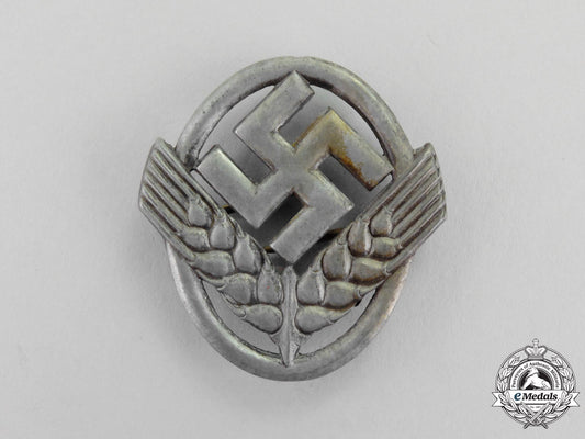 germany._a_rad(_reich_labour_service)_cap_badge_m17-582