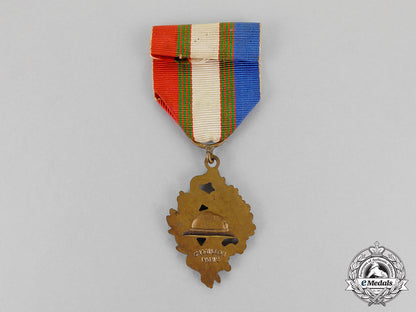 france,_republic._a_national_combatants_union_medal,_c.1919_m18-0149