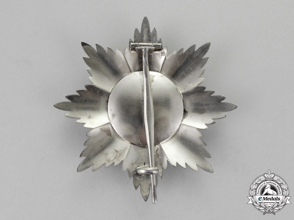oldenburg._a_house_and_merit_order_of_duke_peter_frederick_louis._grand_commander_star,_c.1900_m18-1039_1