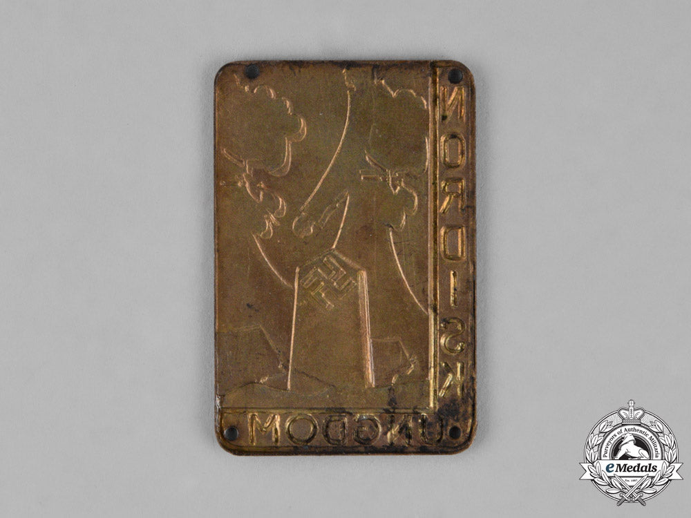 sweden._a_nordic_national_socialist_youth_movement_badge_m18-2241