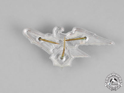 germany._an_rlb(_air_raid_protection_league)_visor_cap_eagle_m18-2456