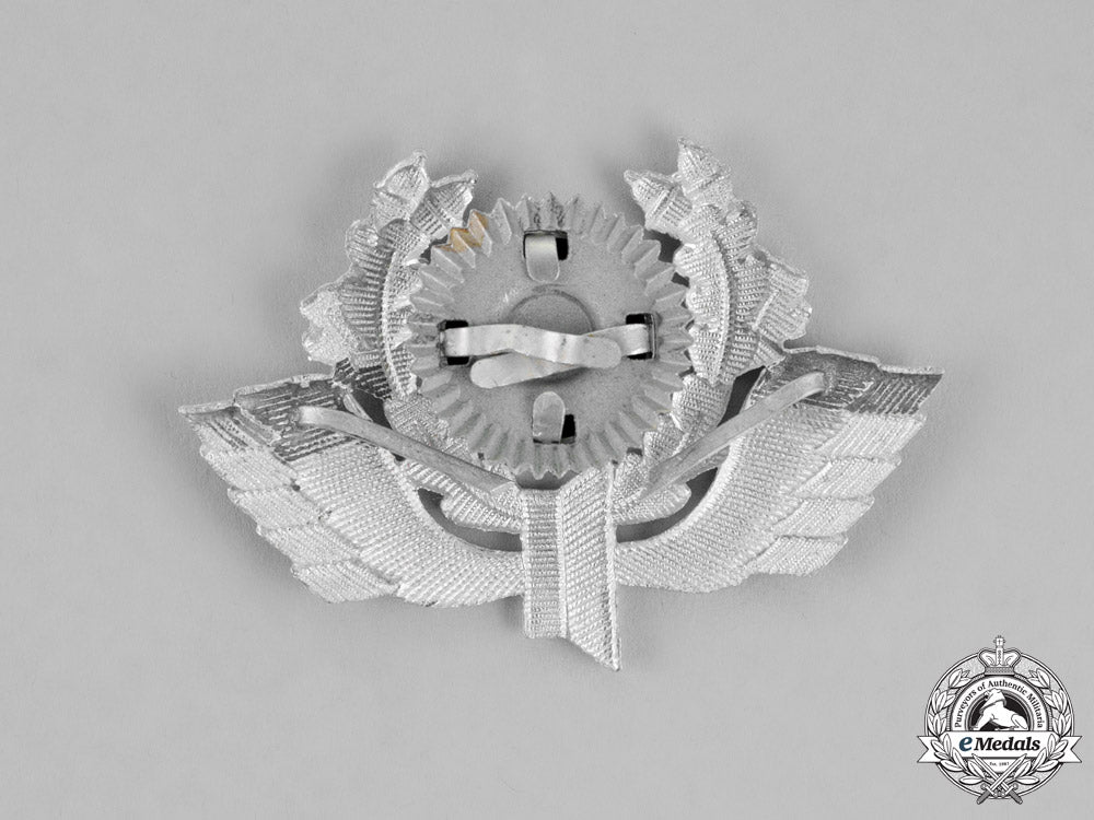 germany._an_early_pattern_bahnschutz_polizei_cap_insignia_m18-2551