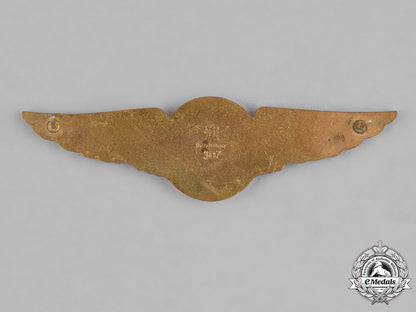 united_states._a_naval_aircrew_wing_m181_2881
