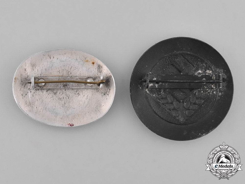 germany,_rad._two_national_labour_service_badges_m181_4081