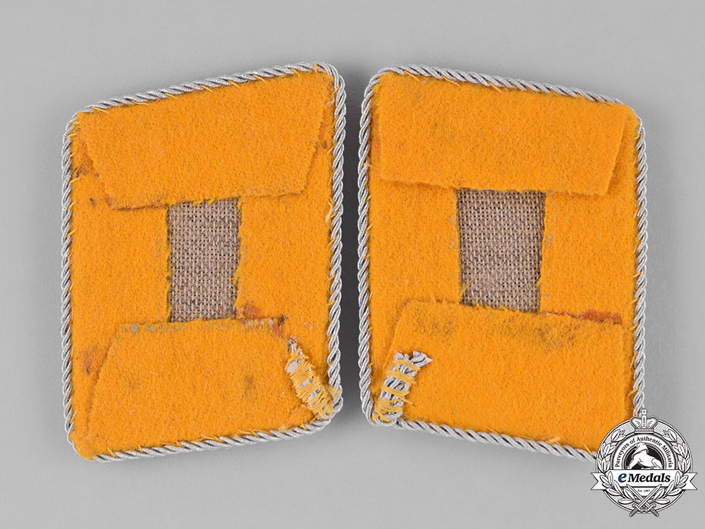 germany,_luftwaffe._a_set_of_flight_personnel_oberst_collar_tabs_m181_4827