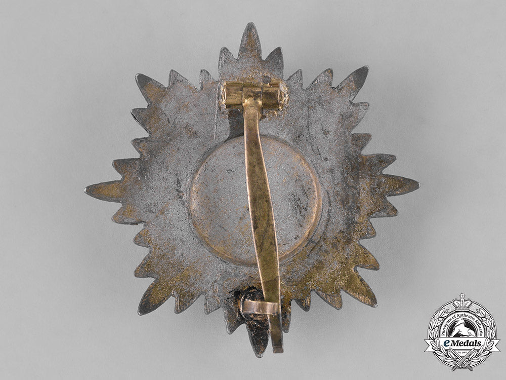 germany,_third_reich._a_cased_gold_grade_eastern_peoples_bravery_medal,_first_class_with_swords_m181_4840