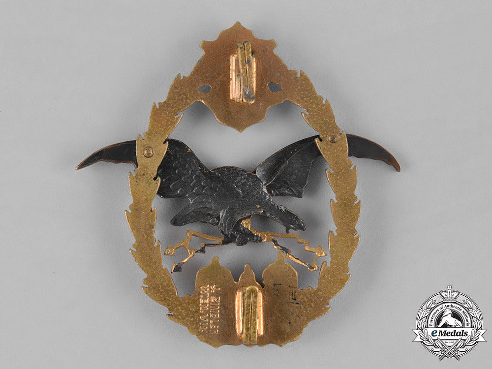 austria,_empire._an_imperial_austro-_hungarian_pilot_badge,_c.1917_m181_4854