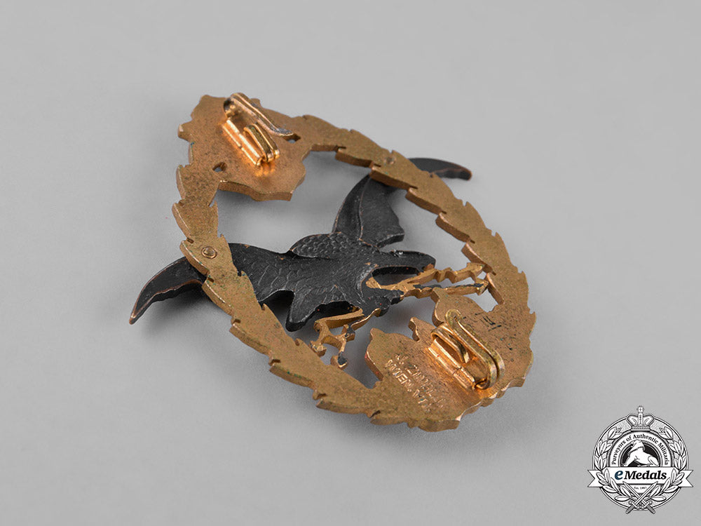 austria,_empire._an_imperial_austro-_hungarian_pilot_badge,_c.1917_m181_4856