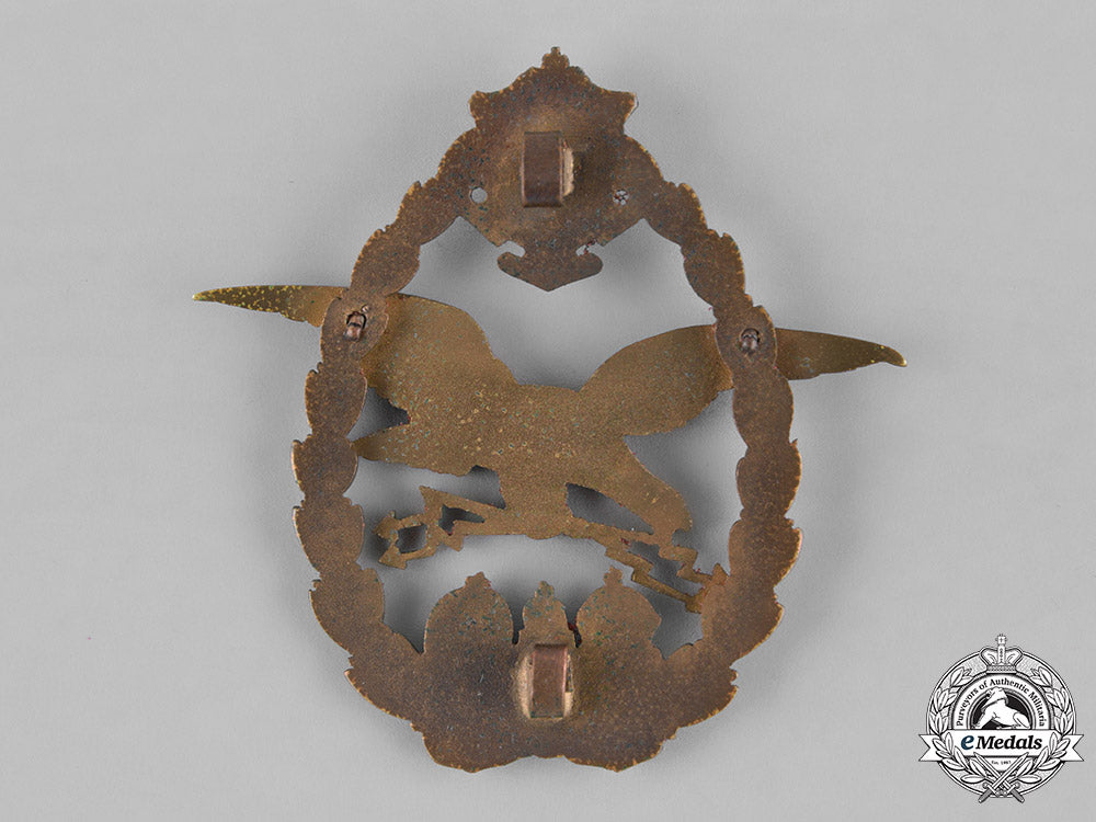 austria,_empire._an_emperial_austro-_hungarian_pilot_badge,_c.1918_m181_4859_1_1