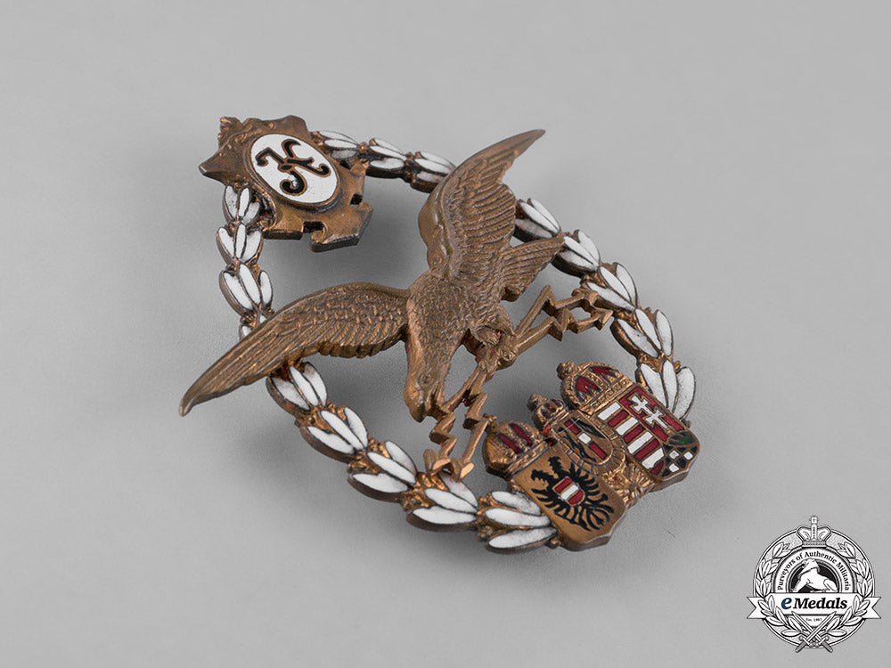 austria,_empire._an_emperial_austro-_hungarian_pilot_badge,_c.1918_m181_4860_1_1