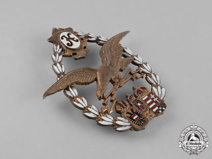 austria,_empire._an_emperial_austro-_hungarian_pilot_badge,_c.1918_m181_4860_1_1