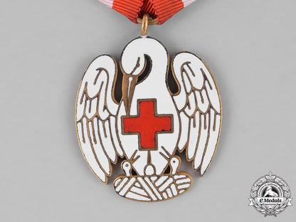 denmark,_kingdom._a_red_cross_badge_of_merit,_i_class_with_red_cross_lapel_pin_m181_5632_1_1