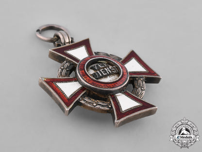 austria,_empire._a_lot_of_awards_and_badges,_c.1918_m181_5684