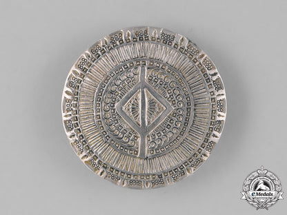 germany._three_third_reich_period_runic_badge_m181_8576