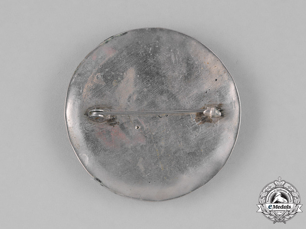 germany._three_third_reich_period_runic_badge_m181_8577