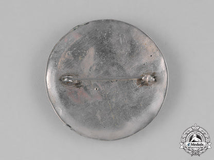 germany._three_third_reich_period_runic_badge_m181_8577