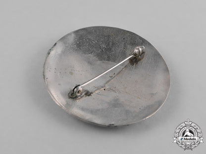 germany._three_third_reich_period_runic_badge_m181_8578