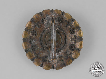 germany._three_third_reich_period_runic_badge_m181_8580