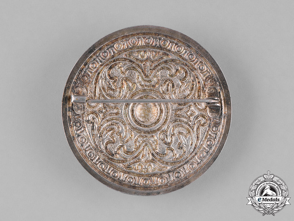 germany._three_third_reich_period_runic_badge_m181_8583