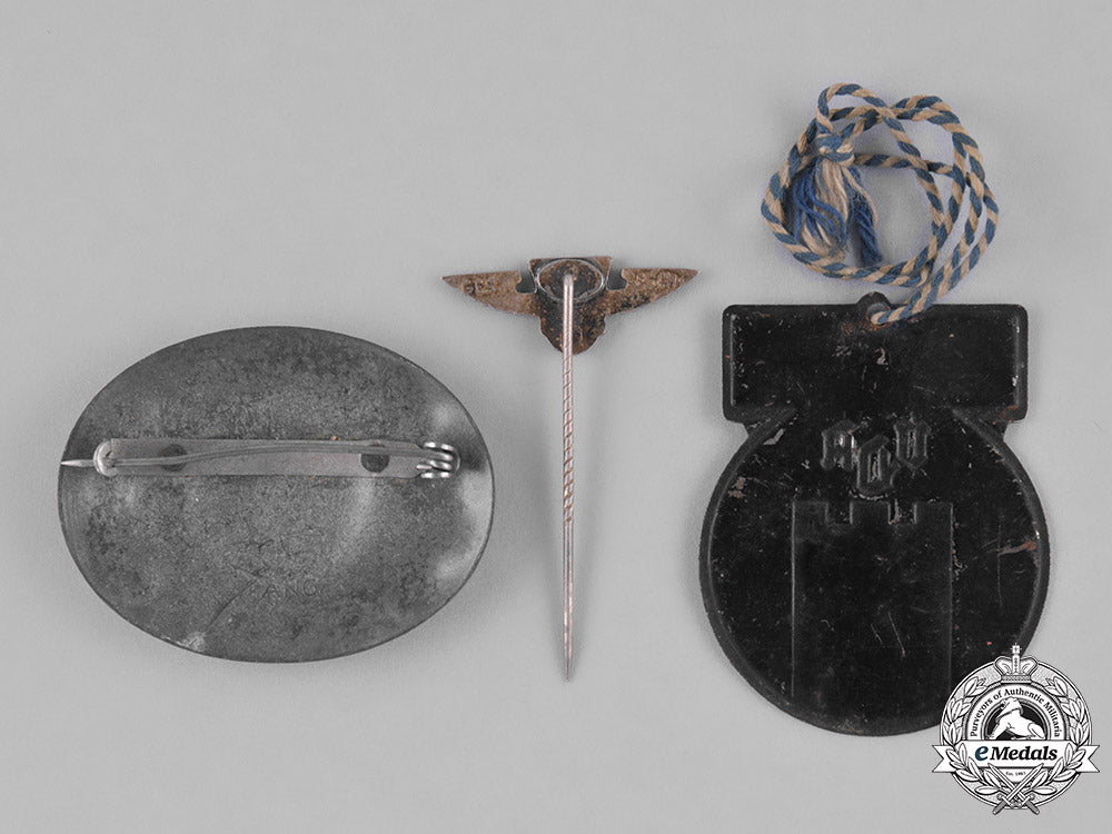 germany._a_lot_of_three_third_reich_badges_m181_8596