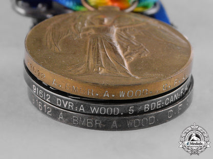 canada._a1918_military_medal_to_driver/_acting_bombardier_wood,5_th_brigade,_battle_of_the_canal_du_nord_kia_m181_8750