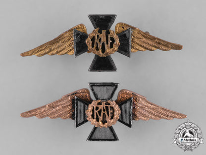 great_britain._two_first_war_royal_air_force(_raf)_chaplain's_collar_badges_m181_9199