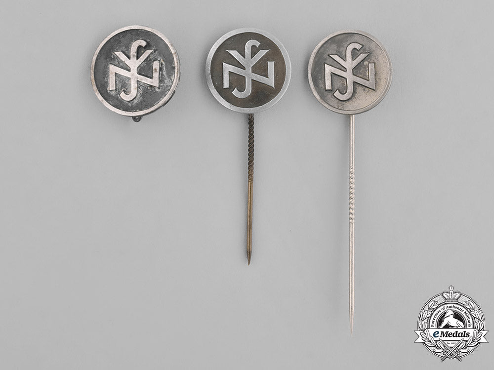 germany,_third_reich._a_grouping_of_national_socialist_people’s_welfare(_nsv)_pins_m181_9362