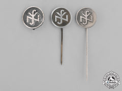Germany, Third Reich. A Grouping Of National Socialist People’s Welfare (Nsv) Pins