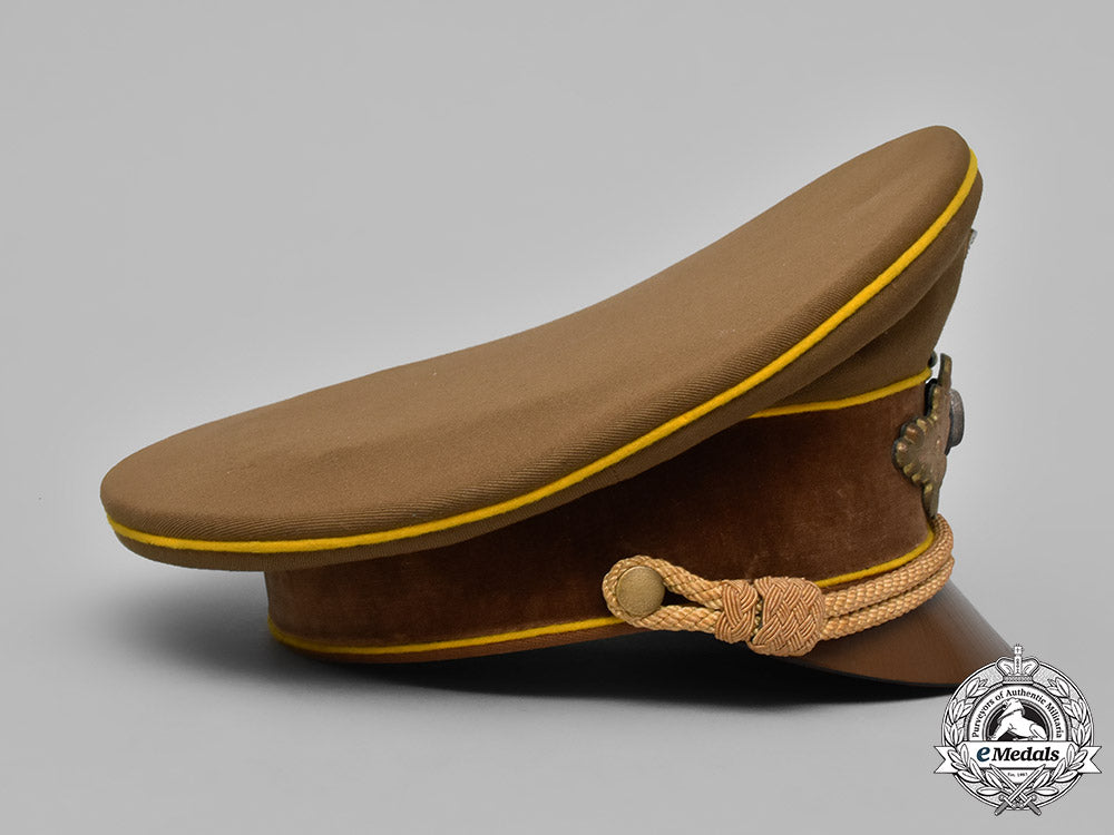 germany,_nsdap._a_reichsleitung_level_visor_cap,_published_example_m182_0057