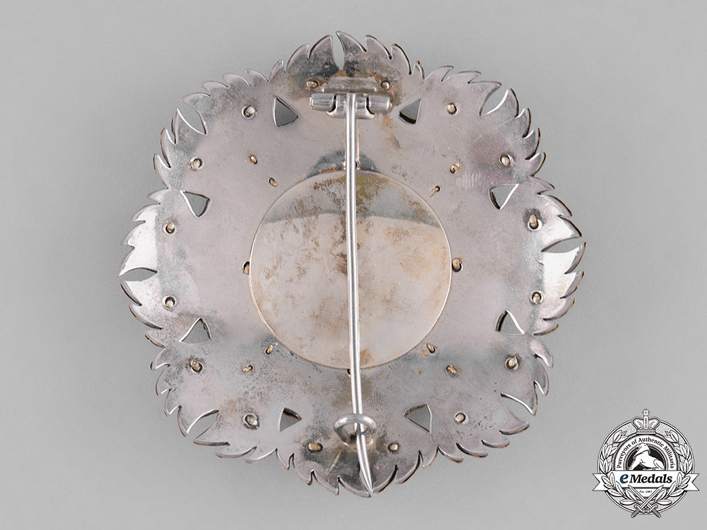italy,_kingdom._an_order_of_the_annunciation,_lesser_collar_with_star,_by_cravanzola,_c.1930_m182_3498_1_1_1_1_1_1_1_1_1