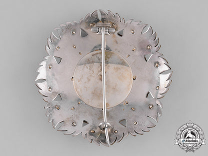 italy,_kingdom._an_order_of_the_annunciation,_lesser_collar_with_star,_by_cravanzola,_c.1930_m182_3498_1_1_1_1_1_1_1_1_1