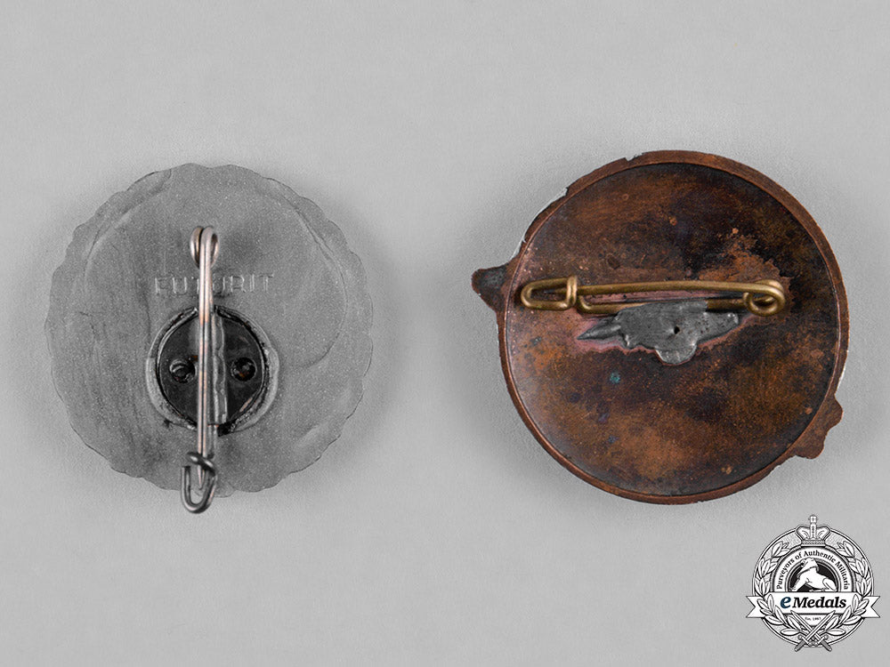 germany,_third_reich._a_lot_of_propadganda_badges_m182_4360