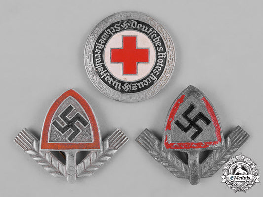 germany,_third_reich._a_group_of_third_reich_period_organization_insignia_m182_4418