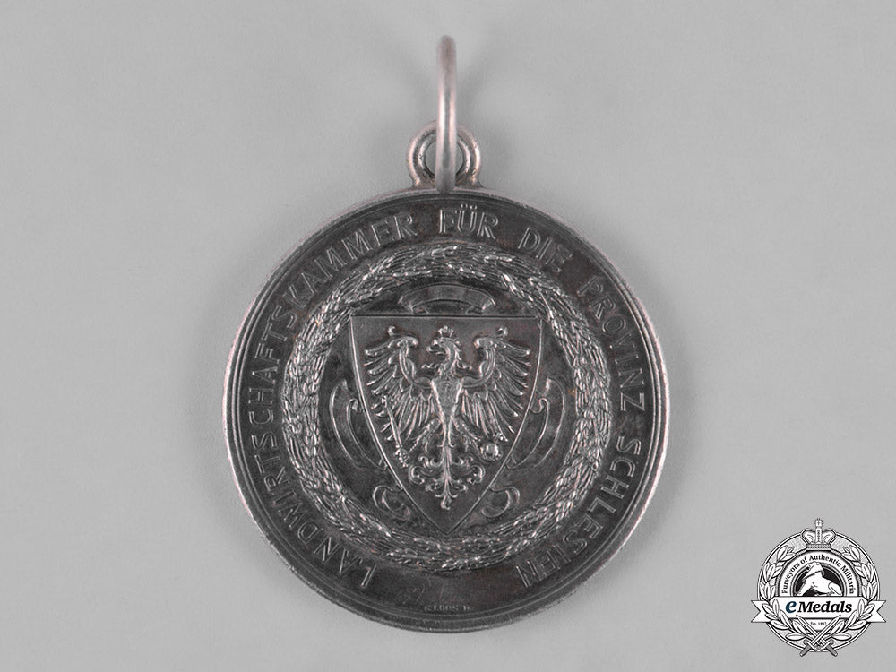 prussia,_kingdom._a_chamber_of_agriculture_for_the_province_of_silesia_medal,_by_g._loos_m182_4467