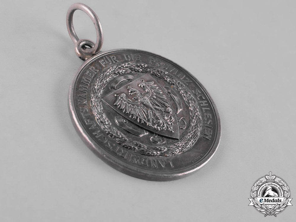 prussia,_kingdom._a_chamber_of_agriculture_for_the_province_of_silesia_medal,_by_g._loos_m182_4469