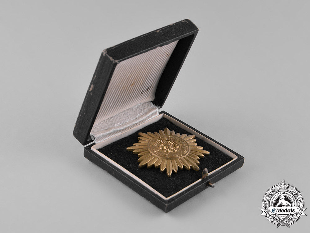 germany,_wehrmacht._a_cased_eastern_people’s_bravery_decoration,_first_class_gold_grade_m182_5414
